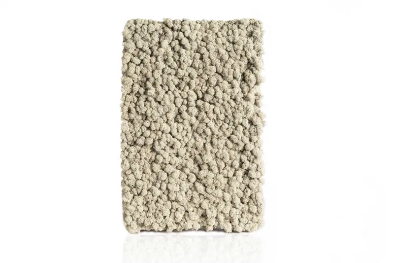 Natural iceland moss plate