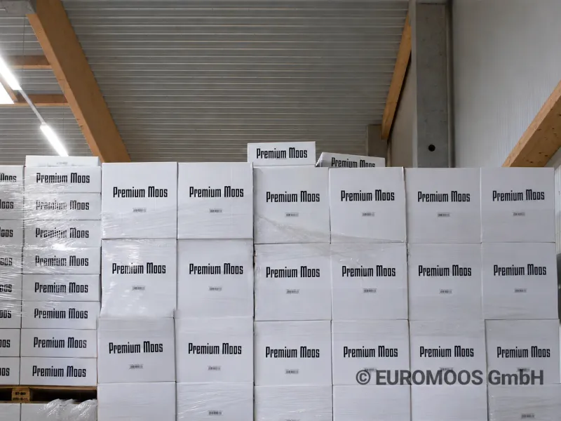 Warehouse with cartons stacked to the ceiling