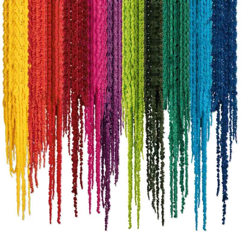 Stabilisierter Amaranthus in zehn Farben