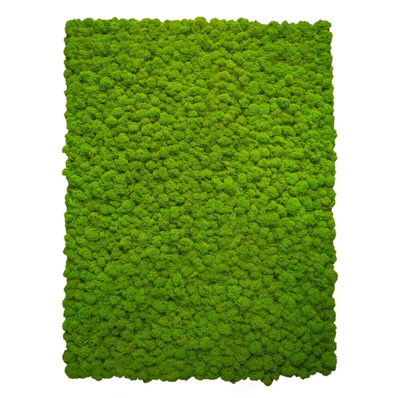 Islandmoos-Matte in Apfelgrün