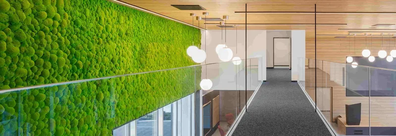Große Mooswand aus Islandmoos-Matten in einem Bürogang
