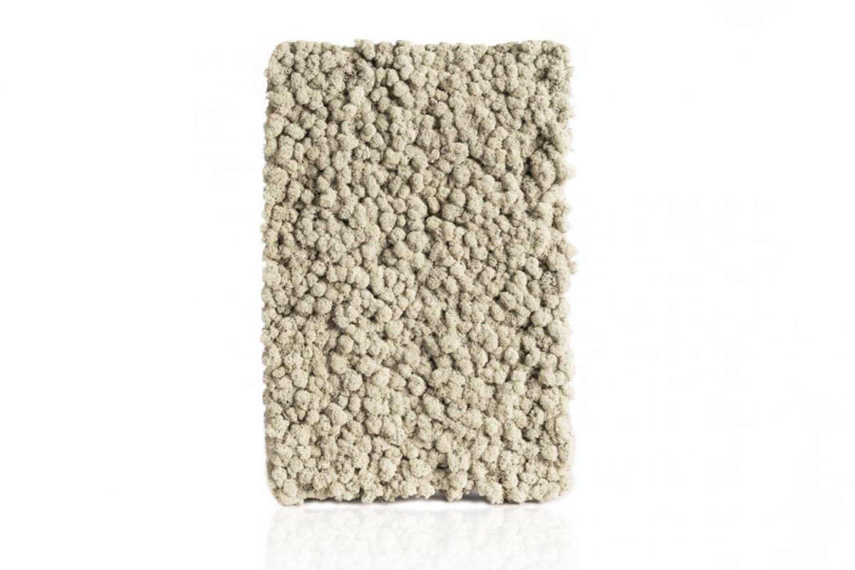 EUROMOOS GmbH | Premium Produzent für Rohmoose aller Art