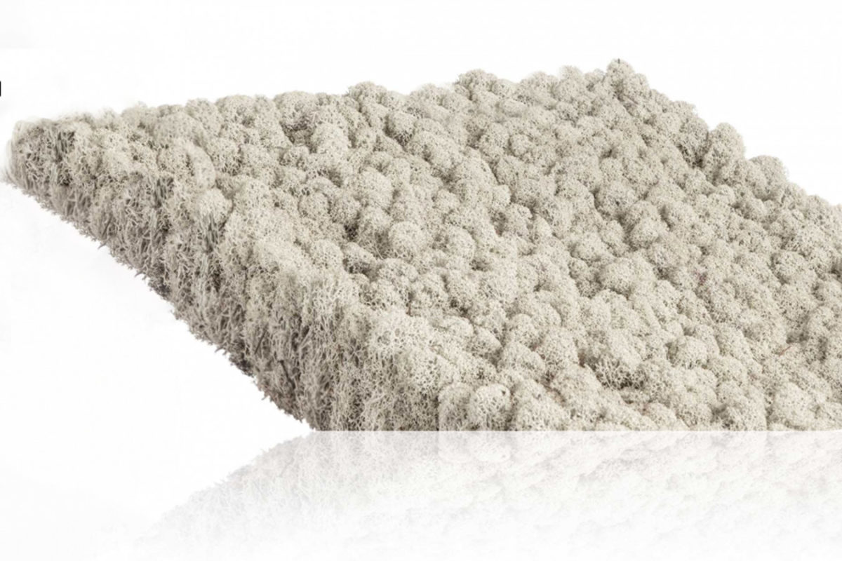 EUROMOOS GmbH | Premium Produzent für Rohmoose aller Art